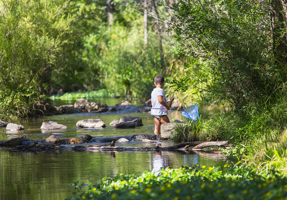 Camping rivière Montpellier