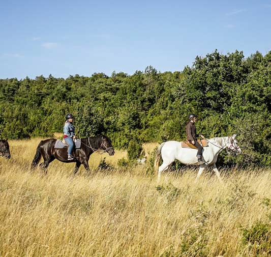equitation aveyron