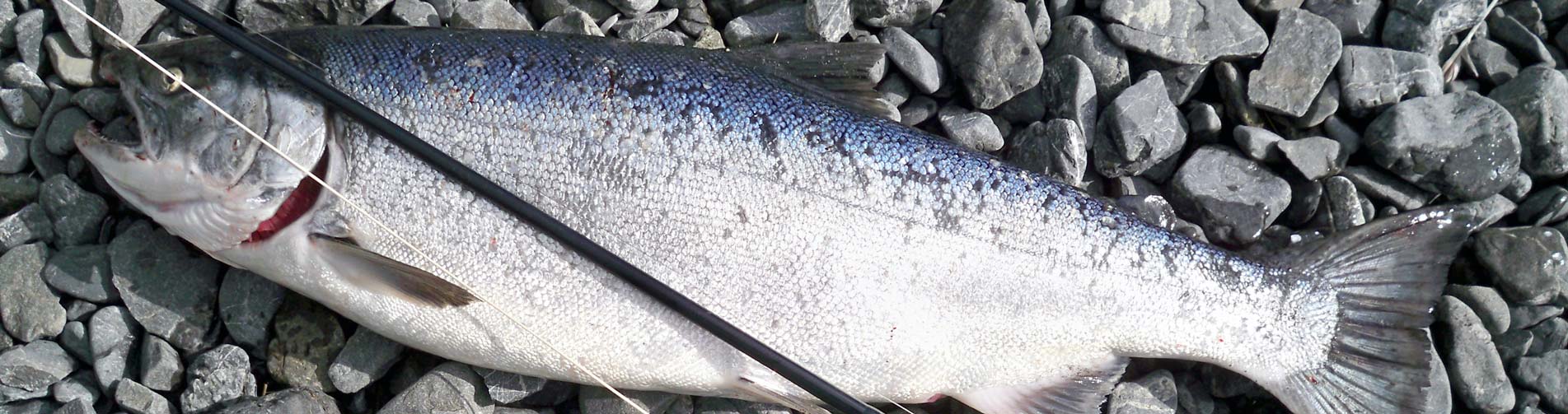 peche truite aveyron